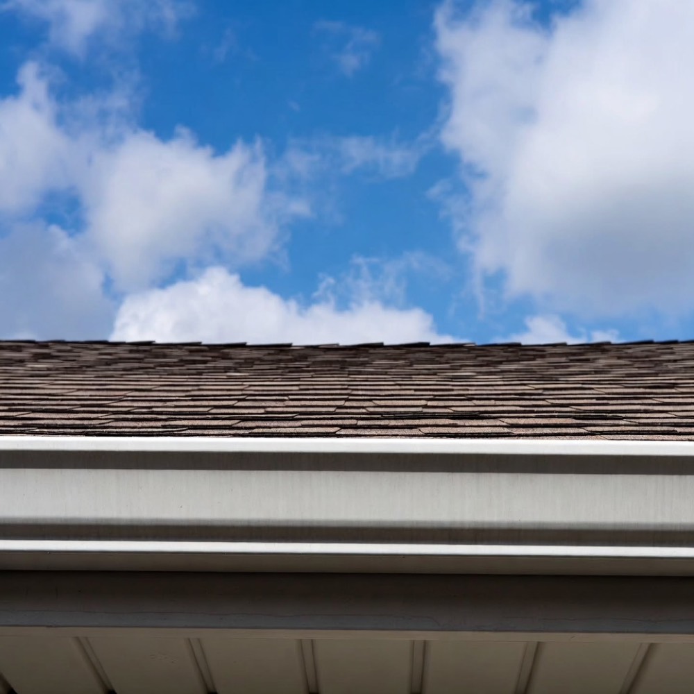 Gutter Cleaning Project